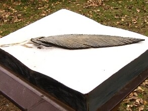 В Саяногорске открыли аллею имени А. Карнаухова