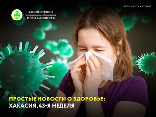 Простые новости о здоровье: Хакасия, 43-я неделя