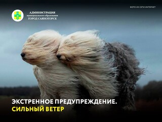 Экстренное предупреждение от 30.10.2026 (сильный ветер)