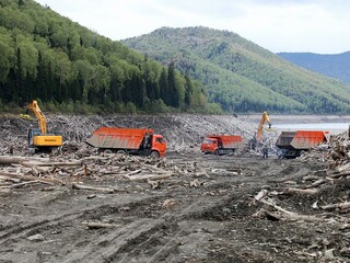 Возобновлена очистка Саяно-Шушенского водохранилища от плавающей древесины