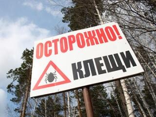 В Хакасии появились первые заболевшие после укуса клещей