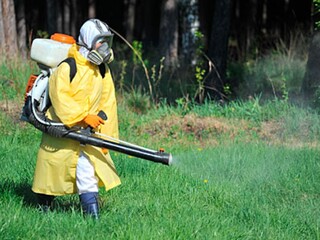 В Хакасии муниципалитеты готовятся к появлению клещей