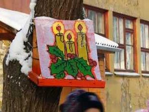 О птицах зимой позаботятся «Васильки» из детсада «Дюймовочка»