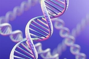 Саяногорск Инфо - Медикал Геномикс Украина - dna3.jpg