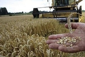 Сельскохозяйственная экспериза