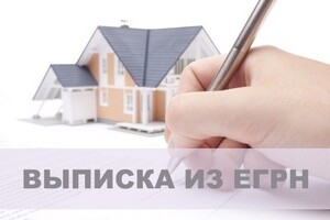 Саяногорск Инфо - Что такое выписка из ЕГРН - statement.jpg