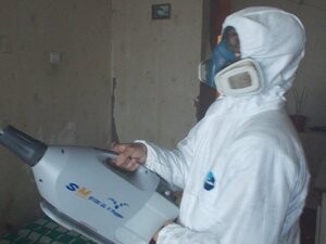 Одежда