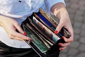 Саяногорск Инфо - В хорошем кошельке и деньги водятся - purse.jpg