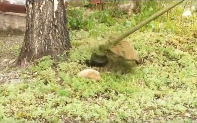 В Саяногорске начинается первая косьба травы