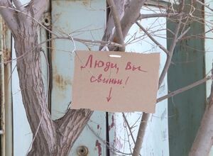 Стихийную свалку в Советском микрорайоне Саяногорска снова убрали