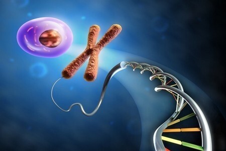 Саяногорск Инфо - Медикал Геномикс Украина - dna.jpg