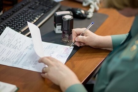 Таможня