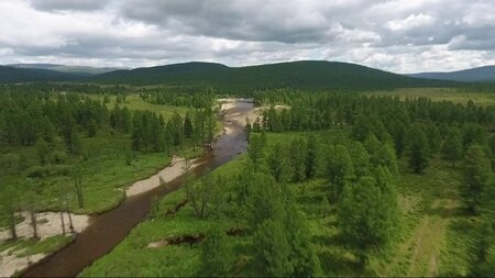 Экология