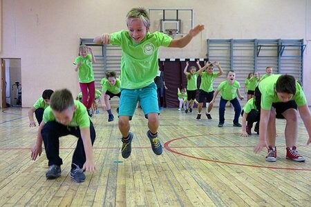 Фикультура