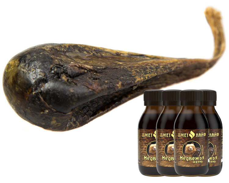 Саяногорск Инфо - Лечебные свойства медвежьей желчи в терапии - medvezhya-zhelch-6-1.jpg