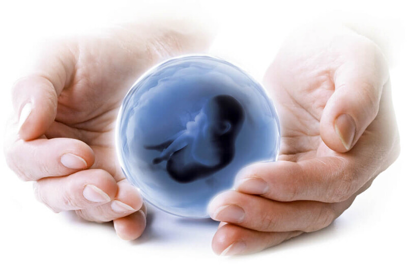 Саяногорск Инфо - Что такое процедура ЭКО и как она проходит - eko.jpg