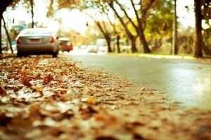 Подготовить автомобиль к осени