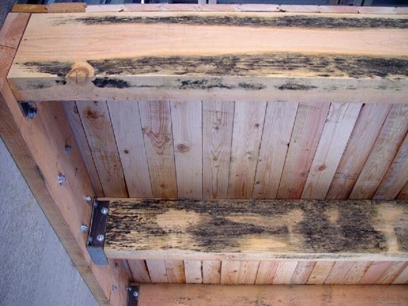 Саяногорск Инфо - Отличия экспортной и не экспортной тары - 573c8715b5dd2ad2168b46e0.jpg