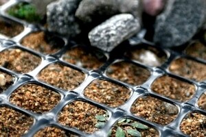 Строительство дорог