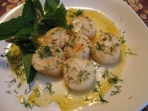 Морской гребешок