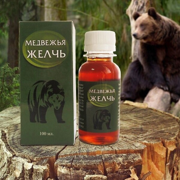 Саяногорск Инфо - Полезна ли желчь медведя для человека? Описание продукта и советы по применению - bear.jpg
