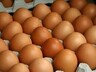 В Хакасии арестовали фургон с подозрительными яйцами