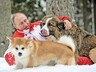 Путин поручил ввести учет домашних животных