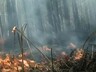 В Хакасии снова введен особый противопожарный режим