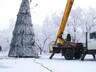 В Саяногорске ставят елки