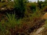 Вред экологии саяногорцы наносят сами