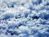В Саяно-Шушенском заповеднике выпал снег