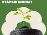 В связи с часто поступающими вопросами жителей, информируем, что складировать отработанные автопокрышки на контейнерных площадках запрещено!