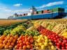 Прирост экспорта продукции АПК из Хакасии составил 32%