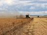 Полпред президента оценил ход уборочной кампании в Сибири