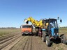 В Хакасии, силами республиканского УФСИН, собрано свыше 600 тонн картофеля