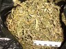 С мешком наркотиков задержали полицейские жителя Усть-Абаканского района