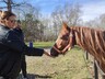 Семьи героев СВО из Хакасии посетили конноспортивный комплекс