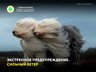 Экстренное предупреждение от 06.10.2026 (сильный ветер)