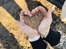 В Верх-Таштыпе и Абазе высеяли лиственницу