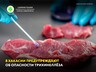 В Хакасии предупреждают об опасности трихинеллёза