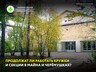 Продолжат ли работать кружки и секции в Майна и Черёмушках?