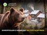 Информация о медведях на утро 14 октября