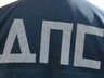 В Хакасии участились ДТП по причине выхода сельхозживотных на проезжую часть