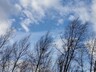 Порывы до 20 м/с: штормовой ветер обрушится на Хакасию