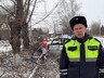 В Белом Яре водитель погиб, врезавшись в дерево