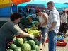 Сельхозпроизводители Хакасии съедутся в Саяногорск