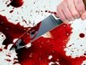 В Саяногорске осуждена местная жительница устроившая кровавую резню