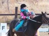 Первое республиканское соревнование по адаптивному конному спорту стало «золотым» для Саяногорска