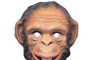 В Саяногорске неизвестный в маске обезьянки пытался ограбить магазин, но ему отказали