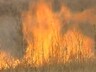 В Хакасии от степных пожаров пострадали большие территории